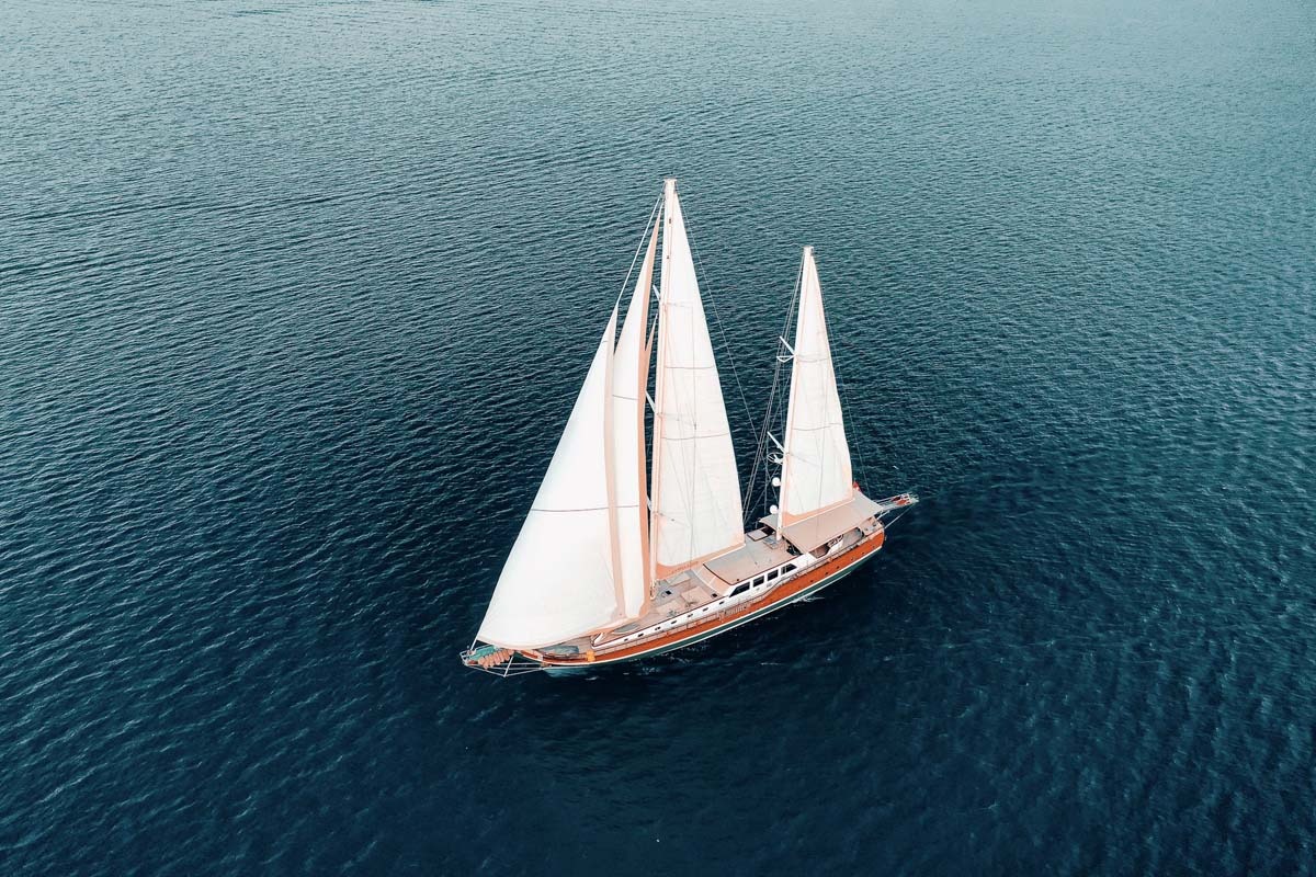 LA BELLA VITA